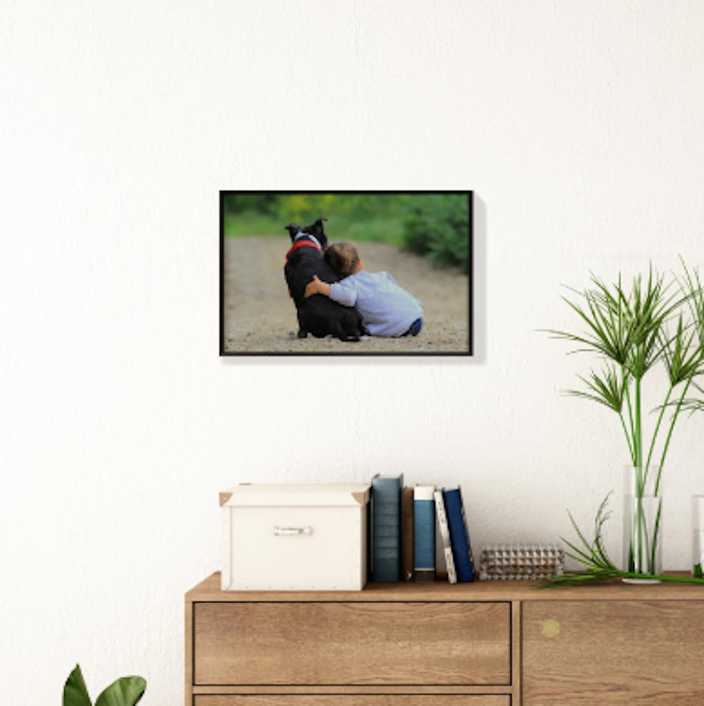 300x450mm box mount print with boy and his dog photo for personalised wall art display