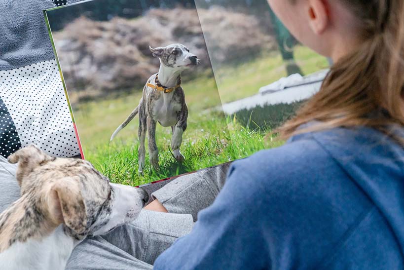 Girl Looking Through Personalised Photobook of Her Dogs Girl looking through a custom photobook featuring photos of her pet dogs
