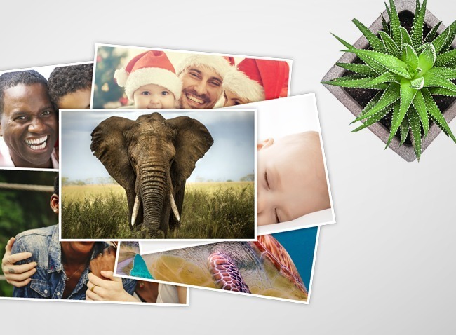 Various photographic prints displayed as a collection of different images and styles for wall decoration.